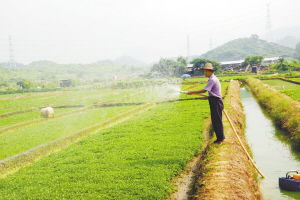 沃爾瑪在塘廈建立東莞首個農(nóng)超對接基地，新鮮蔬菜直供零售