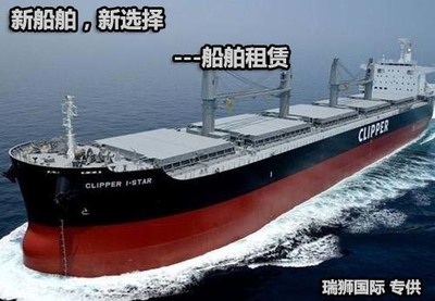 船舶類型與船舶種類 船舶租賃的多元選擇與策略解析